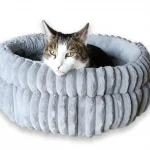 cat-bed